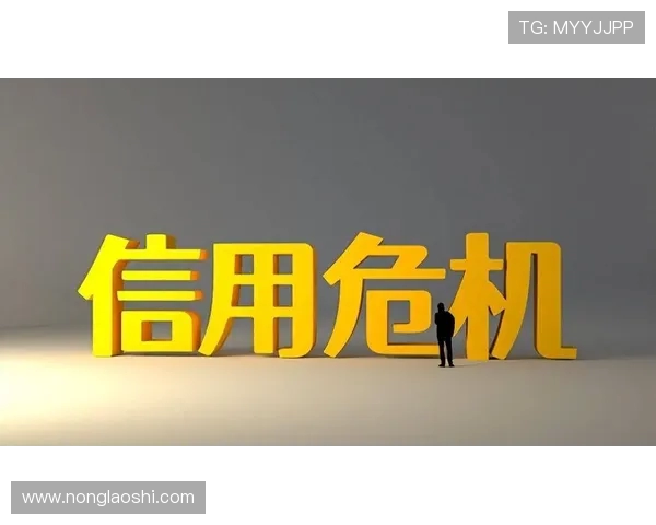 长期拖欠苹果充值款项不还导致的信用危机及其可能带来的法律后果分析